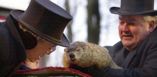 Animal rights activists propose to replace the Groundhog Phil with robot