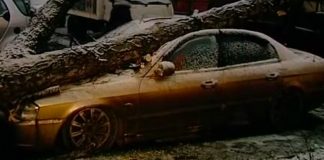 Fallen trees blocked traffic in the East of Moscow