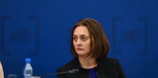 Mishustin has dismissed the Deputy Minister of labour and social protection Svetlana Petrov