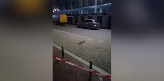 Unknown opened fire in Kaliningrad