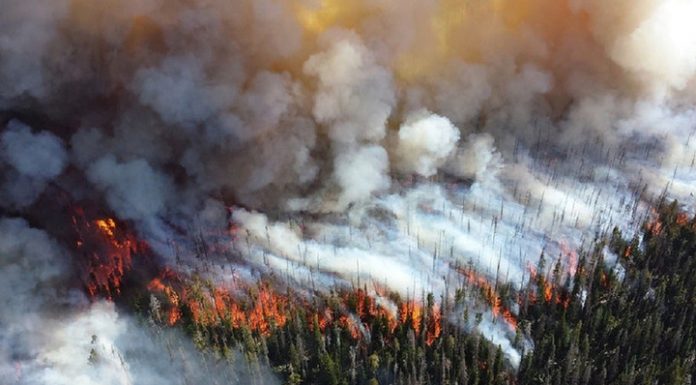 19 firefighters became victims of forest fire in China