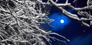 The European part of Russia expect frosty nights – Vilfand