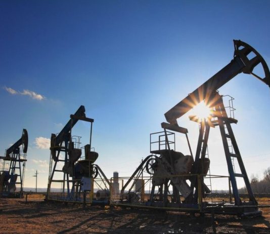 The expert have predicted the fall of oil prices in the next six months