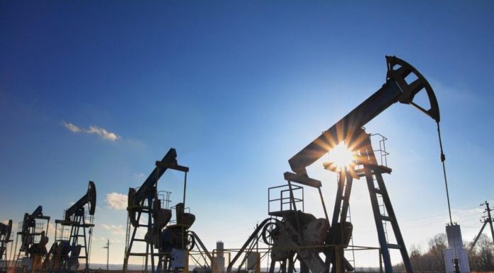 The expert have predicted the fall of oil prices in the next six months