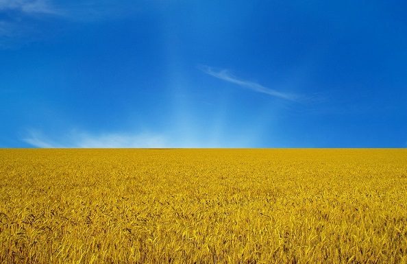 What really is the meaning of the colors of the Ukrainian flag