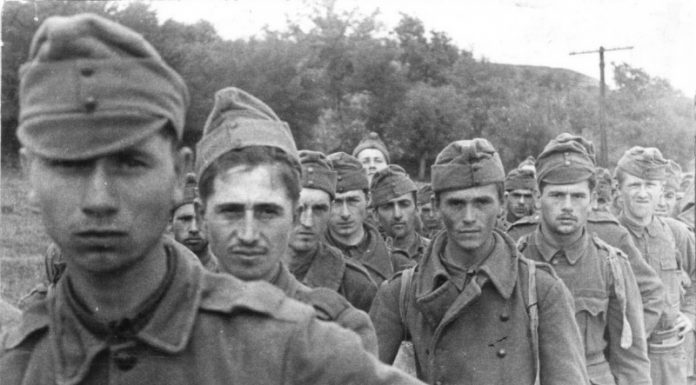 Why Vatutin ordered not to take prisoners Hungarian soldiers of Hitler