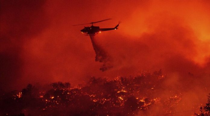 Scientists warned of large-scale fires throughout the world