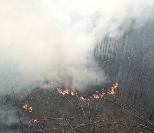 The fire in the Chernobyl zone will not affect the quality of air in Russia – the weatherman