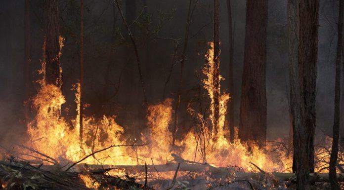 The jump in radiation occurred after the fire at Chernobyl