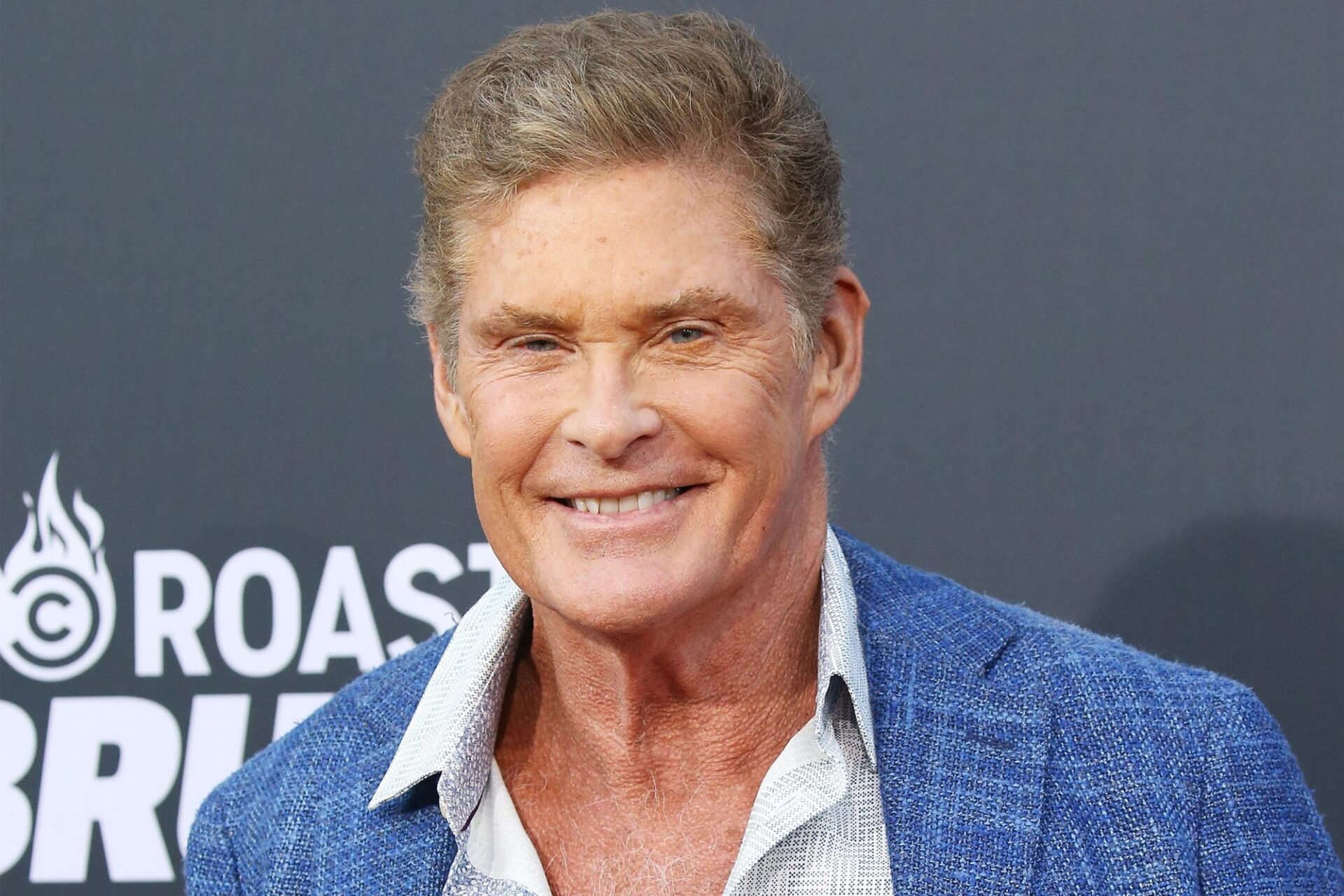 David Hasselhoff Net Worth 2023 Law & Crime News